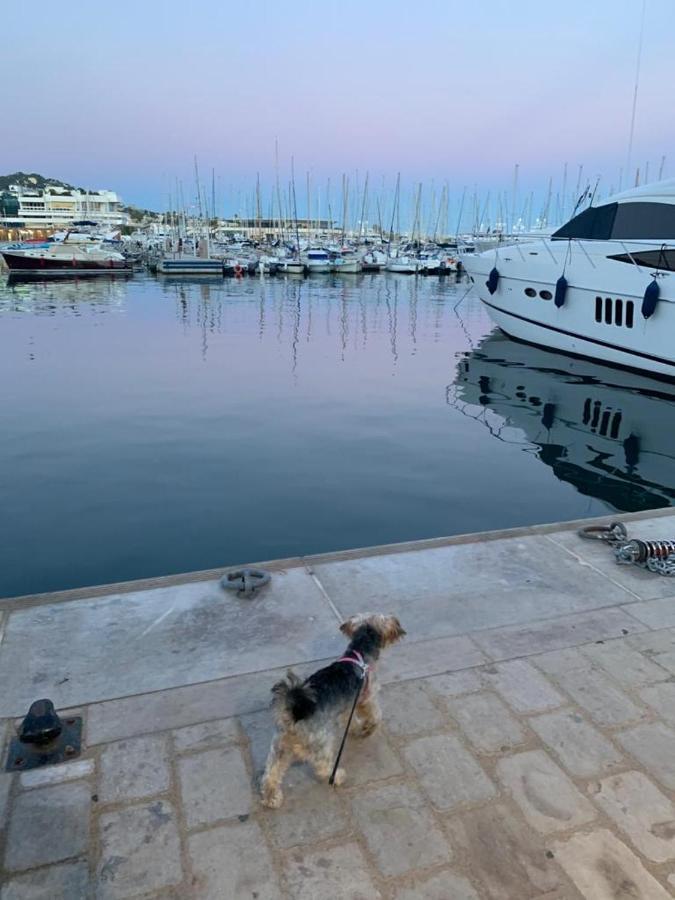 Cannes Old Port, Seafront & Seaview, Yacht Show Port Εξωτερικό φωτογραφία